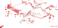 RINFRESCATORE OLIO per Honda VFR 800 VTEC 2008