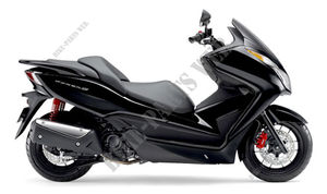 250 FORZA 2013 NSS250D