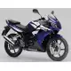 125 CBR 2007 CBR125RW7