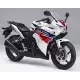 250 CBR 2013 CBR250RAD