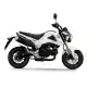 125 MSX 2013 MSX125D
