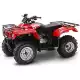 250 FOURTRAX 2002 TRX250TE2