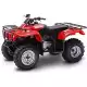 250 FOURTRAX 2002 TRX250TM2