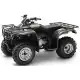 250 FOURTRAX 2003 TRX250TM3