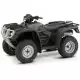 500 FOURTRAX 2008 TRX500FPE8