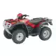 500 FOURTRAX 2008 TRX500FPE8
