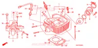 CILINDRO/TESTATA per Honda CBF 125 2011