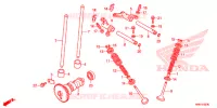 ALBERO A CAMME/VALVOLA per Honda FOURTRAX 500 RUBICON DCT EPS 2018