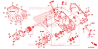 COPERTURA CASSA MANOVELLA per Honda CRF 250 RALLYE 2018