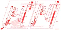 FORCELLA ANTERIORE per Honda CB 125 R ABS 2019