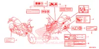 ETICHETTA CAUZIONE (ED,U,V,FO) per Honda MSX 125 ABS 2018