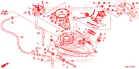 SERBATOIO COMBUSTIBILE per Honda MSX 125 ABS 2018