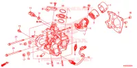 CILINDRO/TESTATA per Honda FORZA 125 2020