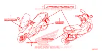 EMBLEMA/STRISCIA (NSS125ADK) per Honda FORZA 125 2020
