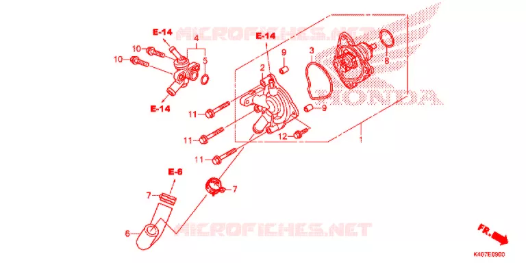 COPERTINA POMPA ACQUA Honda SCOOTER 125 FORZA 2020  NSS125ADK
