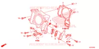 CILINDRO/CANNA VALVOLA per Honda SH 300 I ABS STANDARD 2018