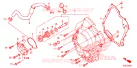 COPERTURA CASSA MANOVELLA/POMPA ACQUA per Honda SH 300 I ABS STANDARD 2018