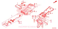 LUCE CODA(2) per Honda NC 750 X ABS DCT 2018
