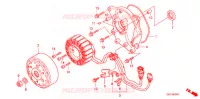 AVVIATORE GENERATORE C.A (CHF508) per Honda 50 CREA SCOOPY 2008
