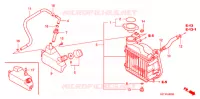 RADIATORE per Honda 50 CREA SCOOPY 2008