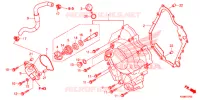 COPERTURA CASSA MANOVELLA/POMPA ACQUA per Honda FORZA 300 ABS 2020