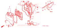 FILTRO ARIA (1) per Honda WAVE 125 X 2008
