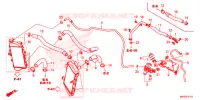 TUBO ACQUA per Honda AFRICA TWIN 1100 DCT ADVENTURE 2020