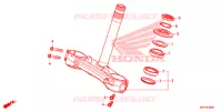 GAMBA STERZO per Honda CBR 1000 RR 2020