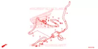 CANISTRO per Honda SH 125 ABS D 2ED 2021