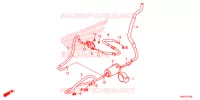 CANISTRO per Honda SH 125 ABS D 4ED 2021