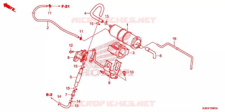 CANISTRO (GROM125) Honda MOTO 125 GROM 2020  MSX125L