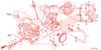 CASSA MANOVELLA per Honda RUCKUS 50 2021