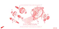 TRASMISSIONE per Honda RUCKUS 50 2021