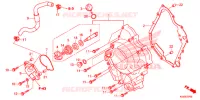 COPERTURA CASSA MANOVELLA/POMPA ACQUA per Honda FORZA 300 ABS 2020