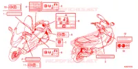 ETICHETTA CAUZIONE per Honda FORZA 300 ABS 2020