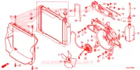 RADIATORE per Honda PIONEER 1000 M5 DELUXE 2020
