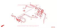 CANISTRO per Honda ADV 150 ABS 2021