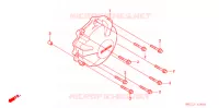 COPERTURA GENERATORE  per Honda CBR 600 RR 2003