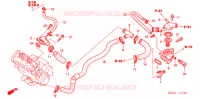 TERMOSTATO  per Honda CBR 600 RR 2003