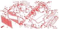 RADIATORE   per Honda CB 600 F HORNET ABS 25KW 2011