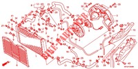 RADIATORE   per Honda CB 600 F HORNET ABS 34HP 2011