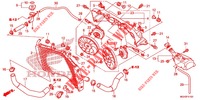 RADIATORE  per Honda CROSSTOURER 1200 DCT 2012