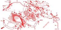 RADIATORE  per Honda CROSSTOURER 1200 DCT 2012