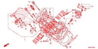 TESTATA (AVANT) per Honda CROSSTOURER 1200 DCT RED 2016