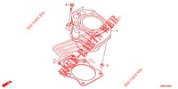 CILINDRO  per Honda FOURTRAX 520 FOREMAN RUBICON 4X4 EPS 2021