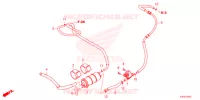 CANISTRO   per Honda FORZA 125 TOP BOX 2021