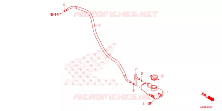 SERBATOIO DI RISERVA  Honda SCOOTER 125 FORZA 2021  NSS125ADM_T