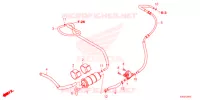 CANISTRO   per Honda FORZA 125 2021
