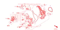 POMPA ACQUA  per Honda FORZA 125 2021