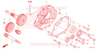 TRASMISSIONE  per Honda FORZA 125 2021